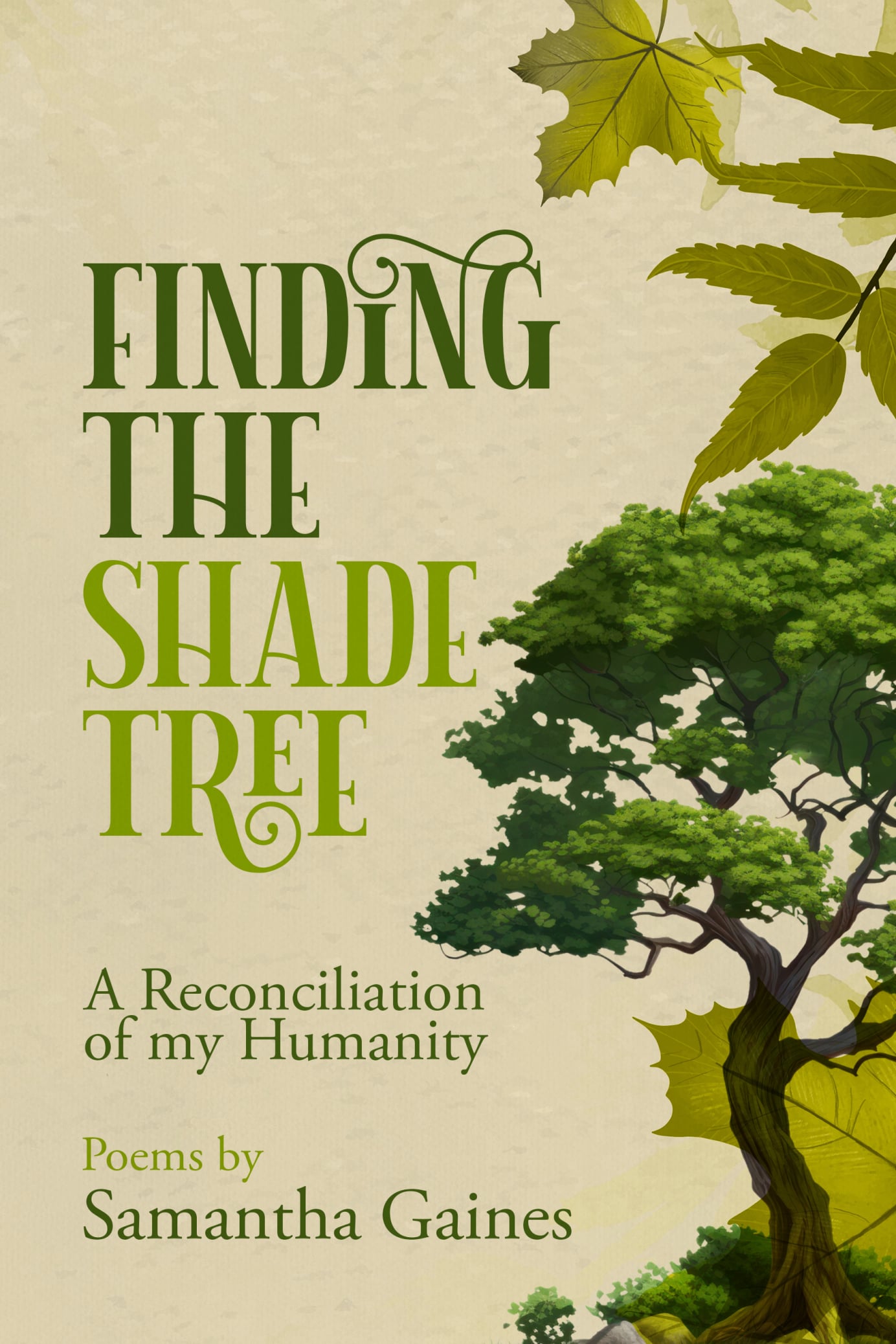 Finding The Shade Tree